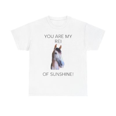 You Are My Rei Of Sunshine